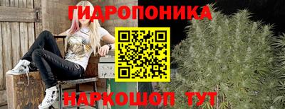 прущие крисы Кандалакша