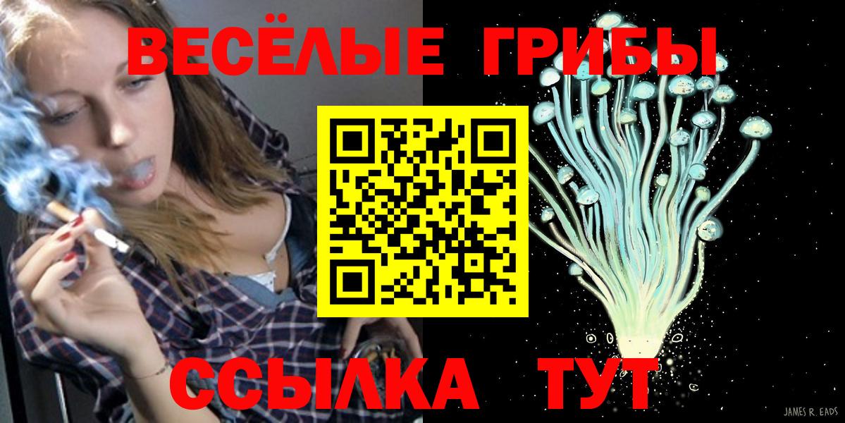 Кондопога  Псилоцибиновые грибы мухоморы  Галлюциногенные грибы Psilocybine cubensis  Вход с VPN 