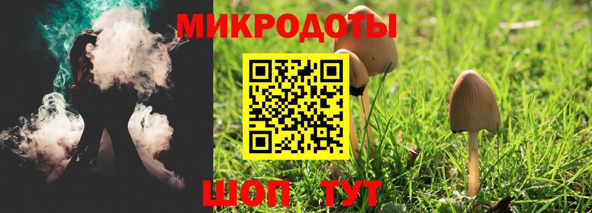 Галлюциногенные грибы Cubensis Кондопога